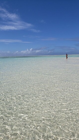 Picture 3 for Activity From Kendwa: Mnemba Boat Trip and Dolphin Snorkel Adventure