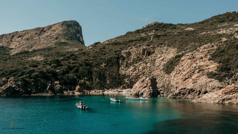 Picture 3 for Activity Sea trip: Ajaccio - Scandola Reserve