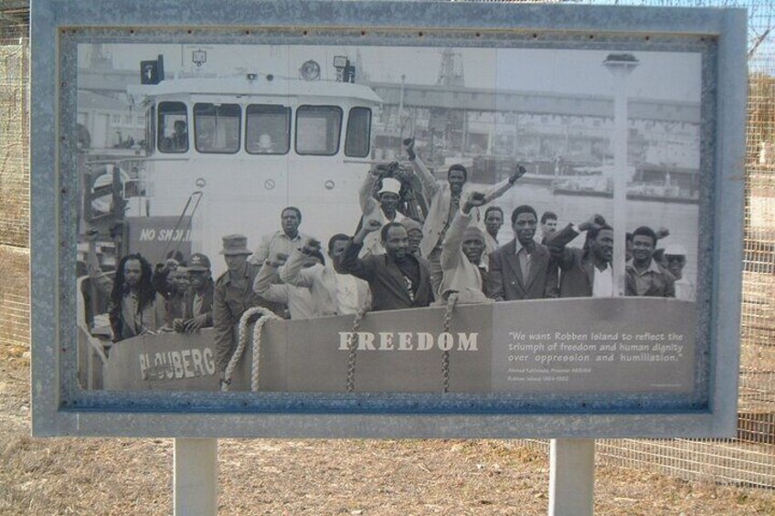 Chameleon Township & Robben Island Tour