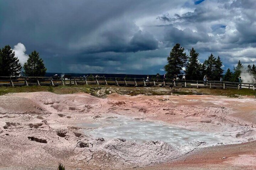 All-inclusive YNP Lower Loop Specialty Tours 55+Adults Fr:Cody Wy