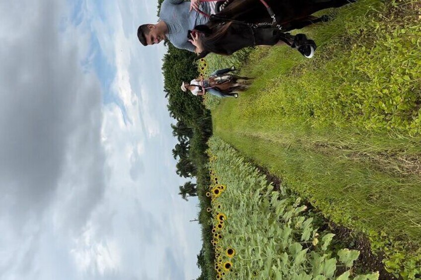 Horse Riding Activity in Miami