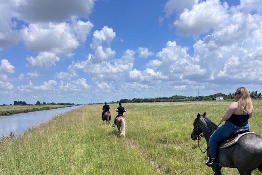 Horse Riding Activity in Miami