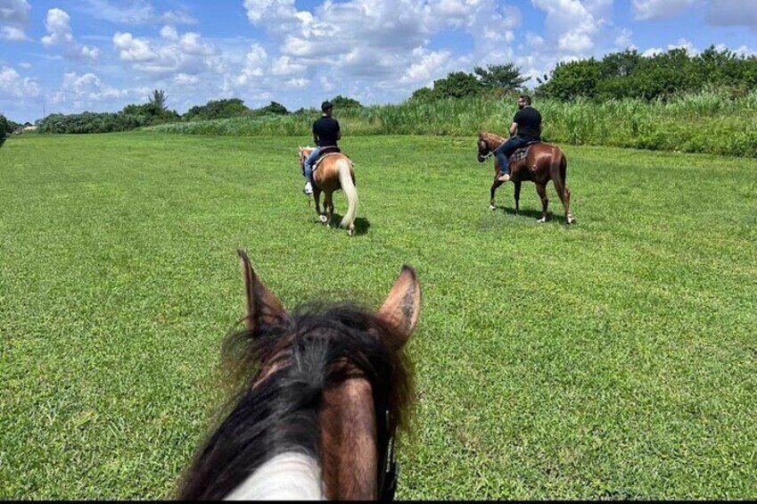 Horse Riding Activity in Miami