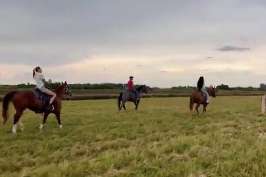 Horse Riding Activity in Miami