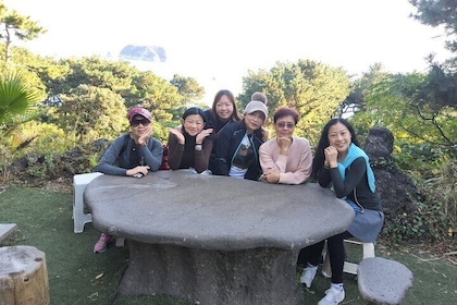 Full-Day Private Mini Van Tour from South and West in Jeju Island