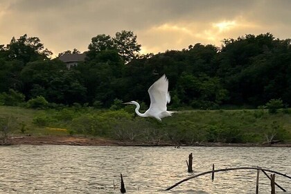 Grapevine Lake Kayak Eco Tour