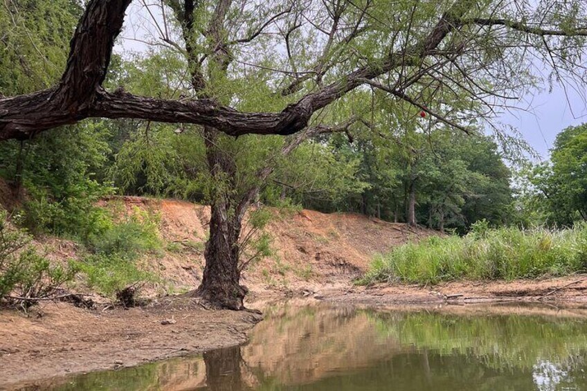 Grapevine Lake Kayak Eco Tour