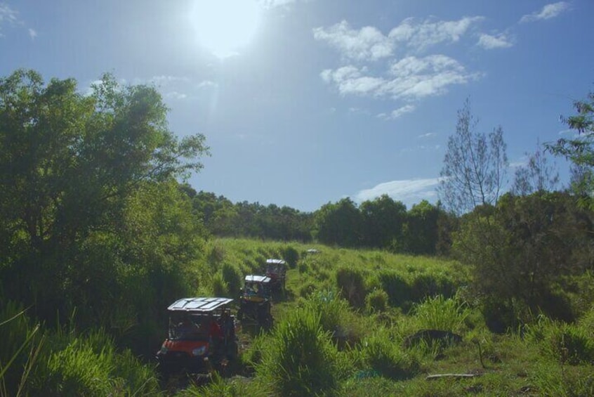 Riding through cane fields