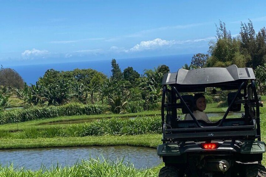 Riders can net and catch tilapia, explore. 