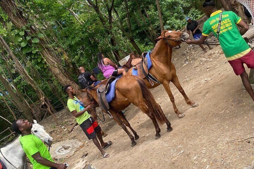  Private Horse Back Riding and Blue hole from Montegobay 