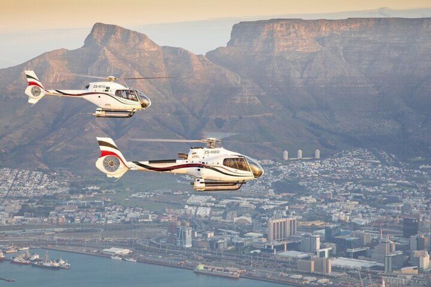 Cape Town Helicopter Tour: City Hopper