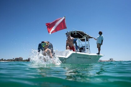 Private Crab Island, Snorkelling, and Dolphin Cruise in Shalimar