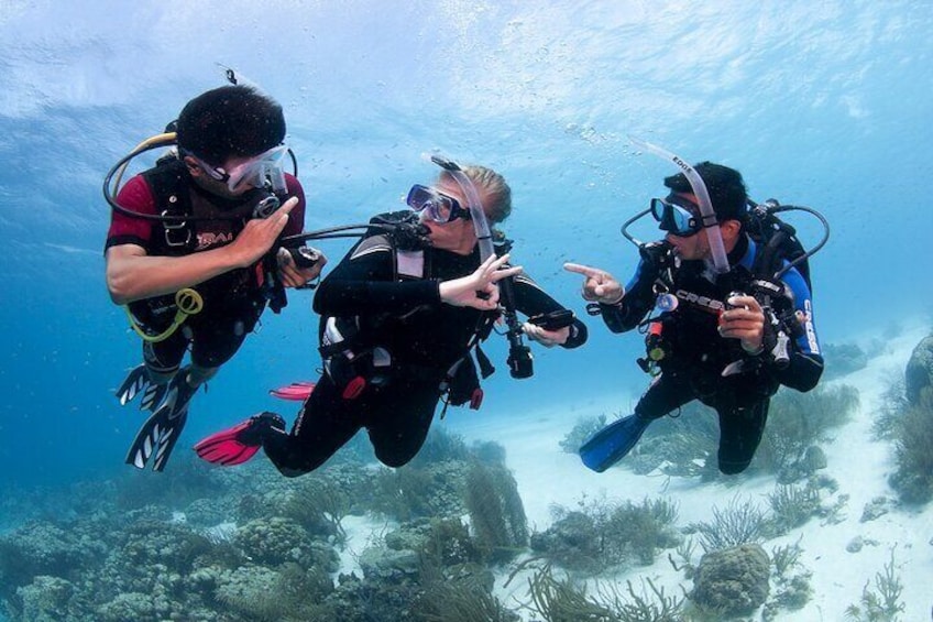 Scuba Diving in Boracay with Underwater Photo and Videography