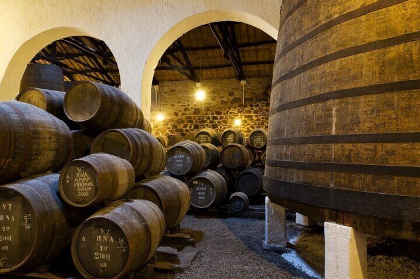 Porto Wine Caves