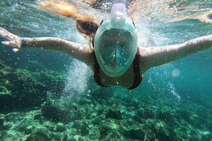 Afternoon Snorkel & Paddle Surf Experience in a Secret Spot
