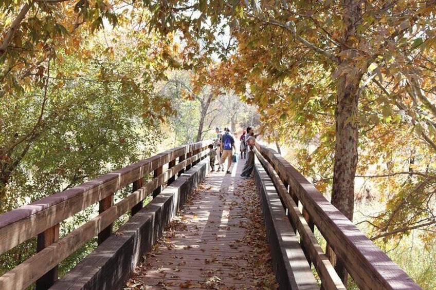 Introduction to Sedona - Easy Walk