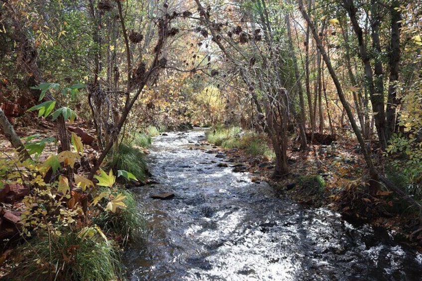 Introduction to Sedona - Easy Walk