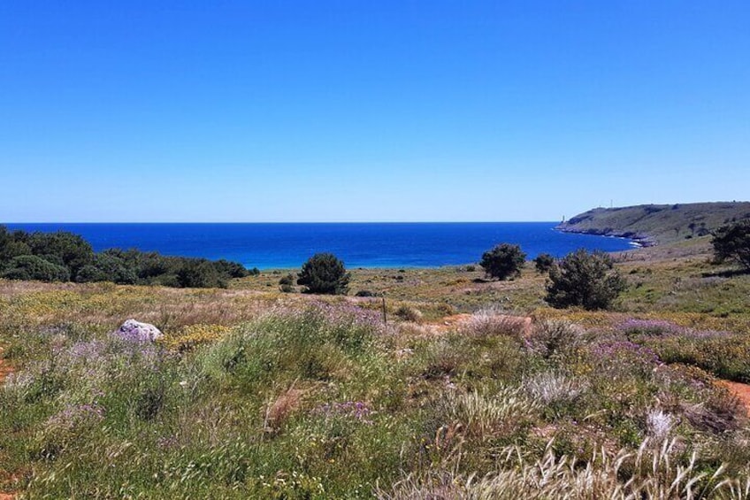 Otranto Coast