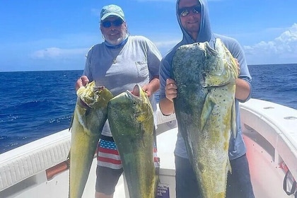 Private Charter: 4 Hours Ultimate Action Fishing in Key West