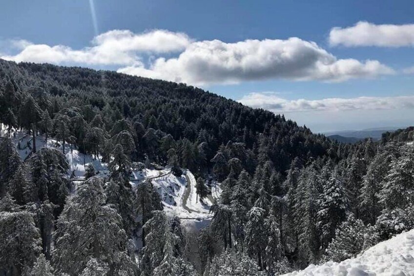 Troodos mountains in winter time
