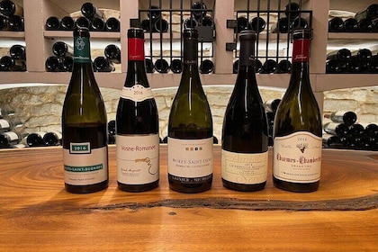 Private Tasting of the 5 Villages of the Côte de Nuits