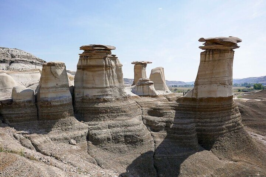 Hoodoos take millions of years to form and stand 5 to 7 meters tall. Each hoodoo is a sandstone pillar resting on a thick base of shale that is capped by a large stone. 