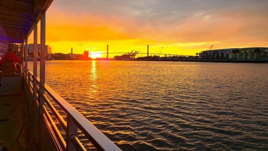 Sunset Dolphin Eco Tour