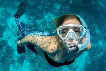 Snorkelling Adventure in La Jolla