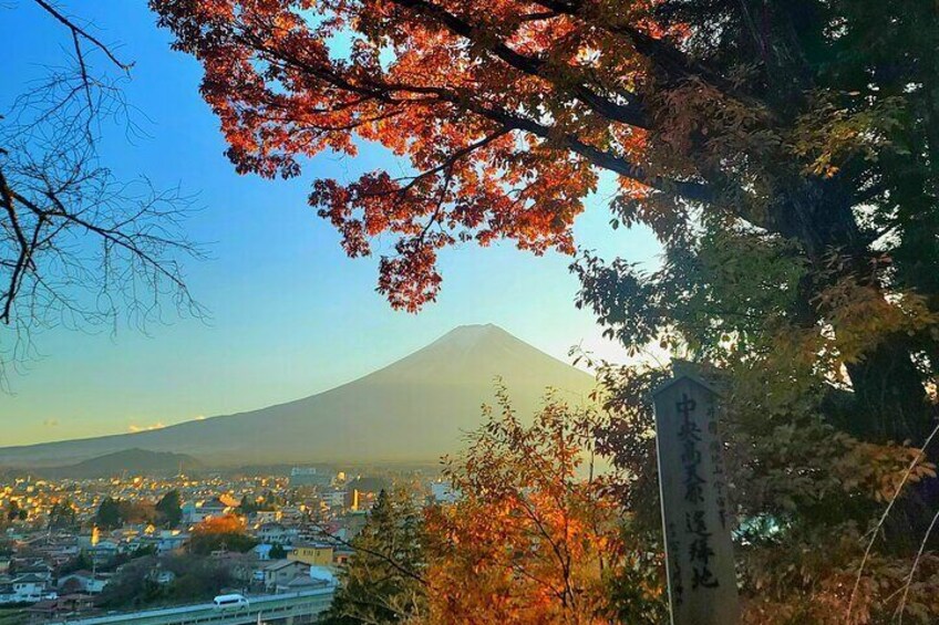 Mount fuji and Hakone Full day private sightseeing tour 