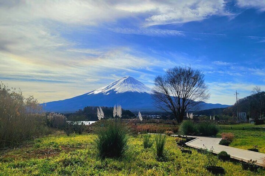 Mount fuji and Hakone Full day private sightseeing tour 