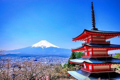 Mount fuji and Hakone Full day private sightseeing tour