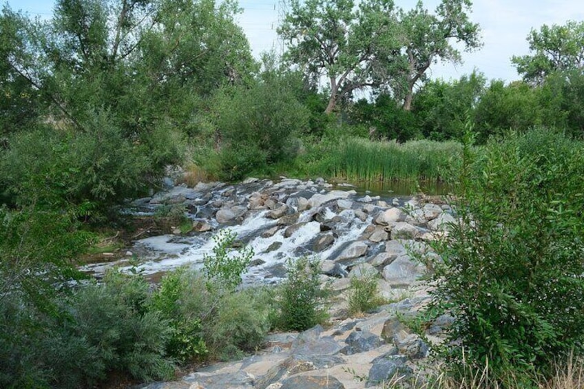 Bike Ride on Cherry Creek Trail to Downtown Denver