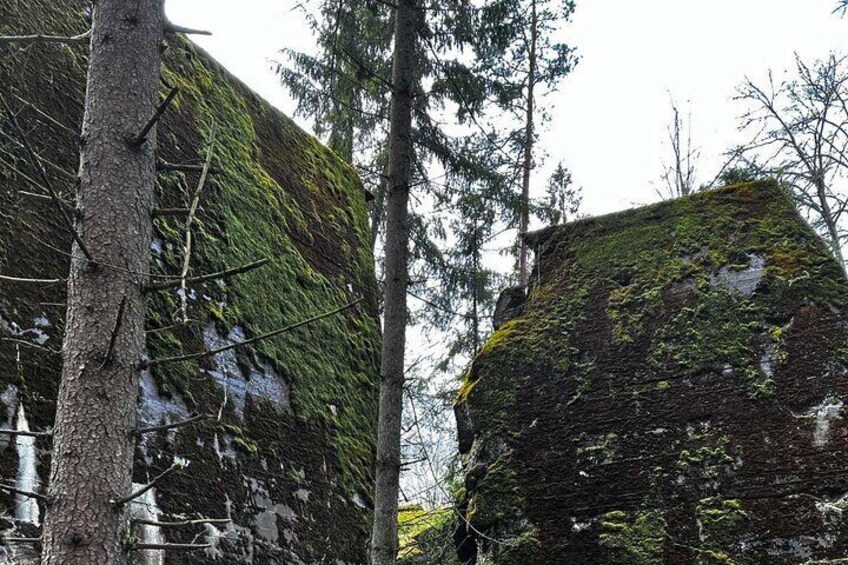 From Vilnius: Private Day Tour to Wolfs Liar (Hitler's bunker)