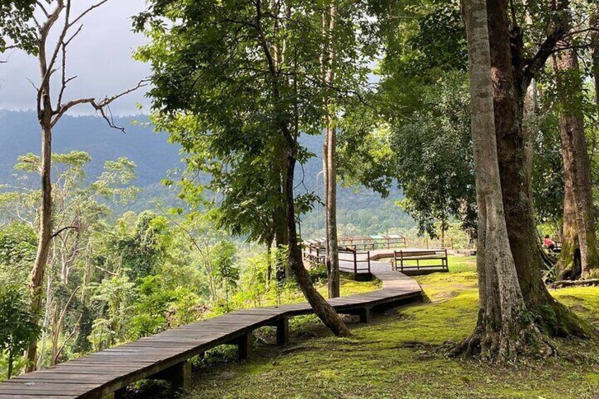 Sticky Waterfalls Tour Chiang Mai Thailand With Annie