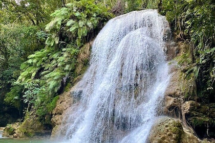 Ecolodge Overnight Experience El Limon Waterfalls, Samana, DR.