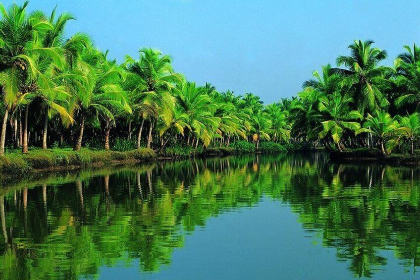 Aleppey /Alapuuzha Backwaters