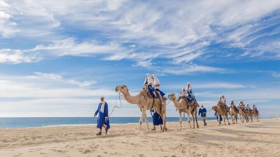 Tangier Day Trip from Rabat with Free Camel Ride