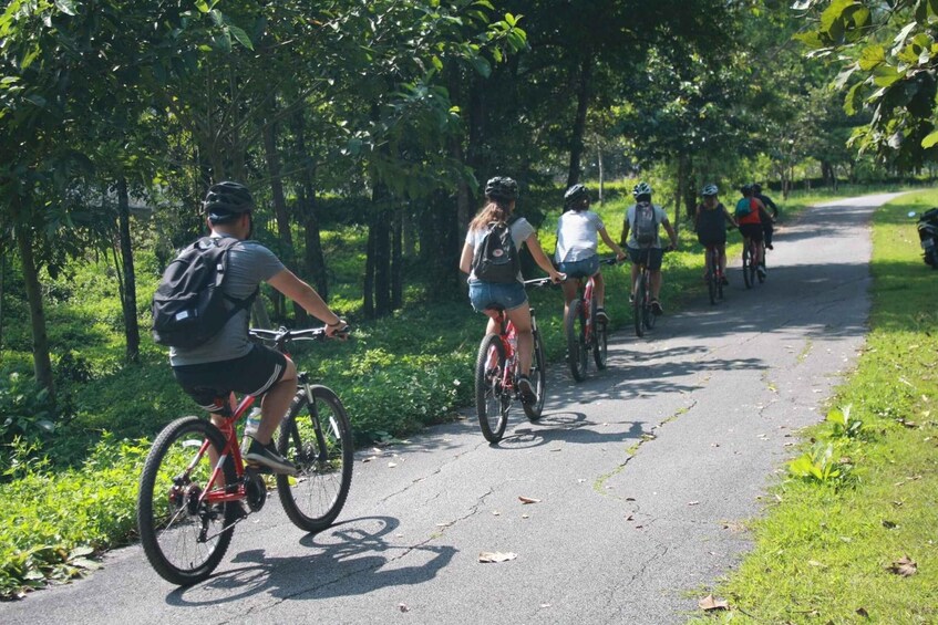 Picture 8 for Activity Chiang Mai: Half-Day Guided Bike & Regional Culture Tour