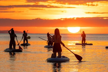 Barcelona: Sunrise Paddleboarding with Instructor and Photos