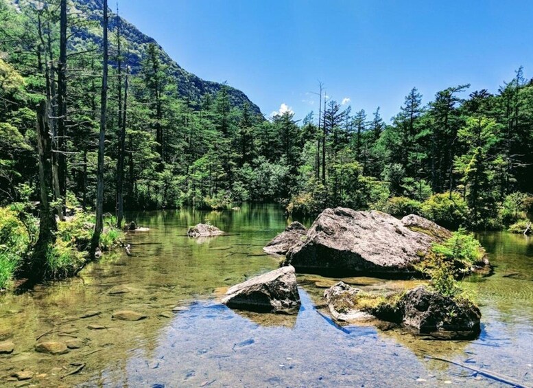 Picture 3 for Activity Full-Day Tour: Matsumoto Castle & Kamikochi Alpine Valley