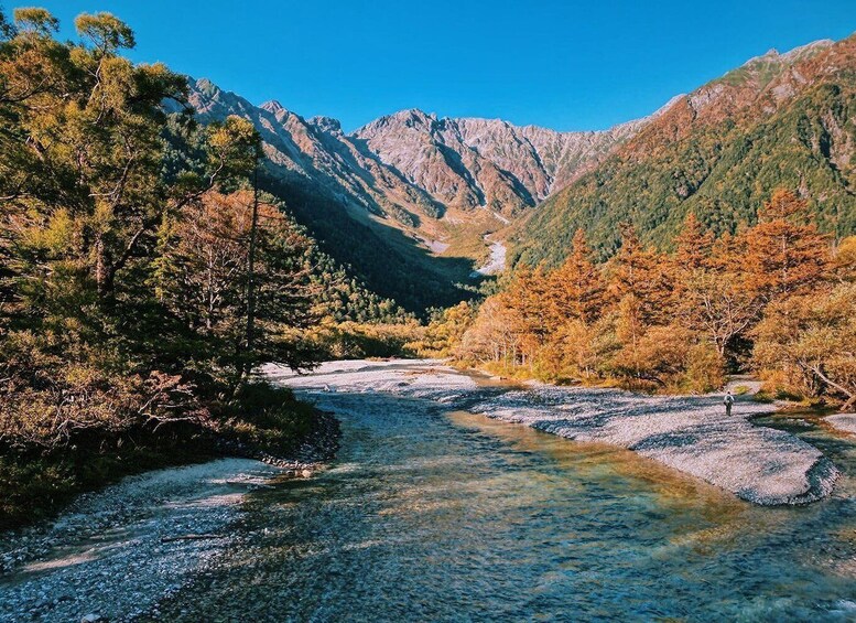 Picture 4 for Activity Full-Day Tour: Matsumoto Castle & Kamikochi Alpine Valley