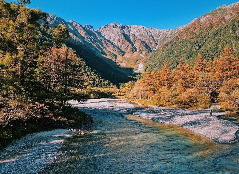 Picture 4 for Activity Full-Day Tour: Matsumoto Castle & Kamikochi Alpine Valley