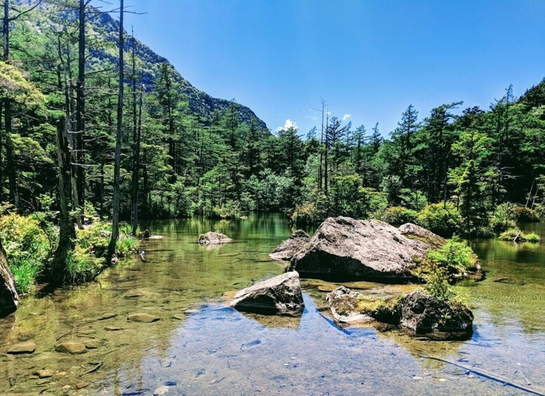 Picture 3 for Activity Full-Day Tour: Matsumoto Castle & Kamikochi Alpine Valley