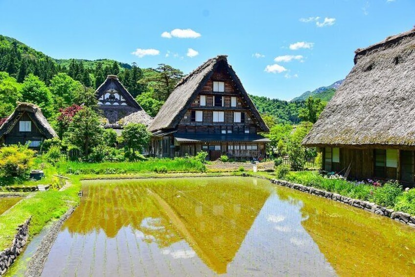 [Regular Sightseeing Bus] World Heritage Shirakawa-go and Gokayama Ainokura