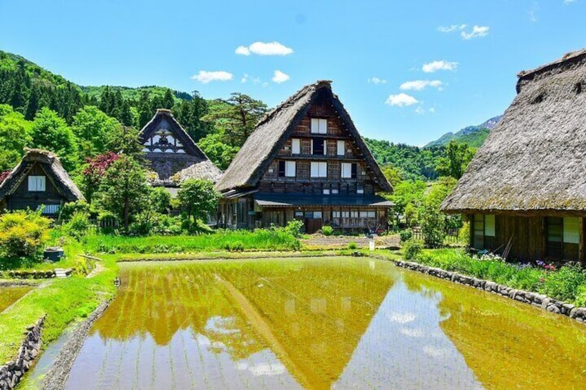 [Regular Sightseeing Bus] World Heritage Shirakawa-go and Gokayama Ainokura