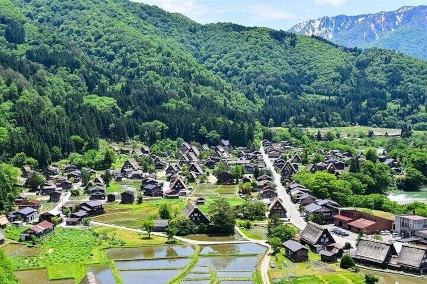 [Regular Sightseeing Bus] World Heritage Shirakawa-go and Gokayama Ainokura