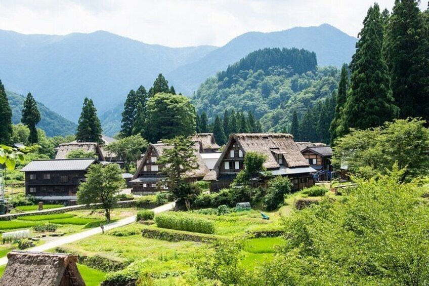 [Regular Sightseeing Bus] World Heritage Shirakawa-go and Gokayama Ainokura