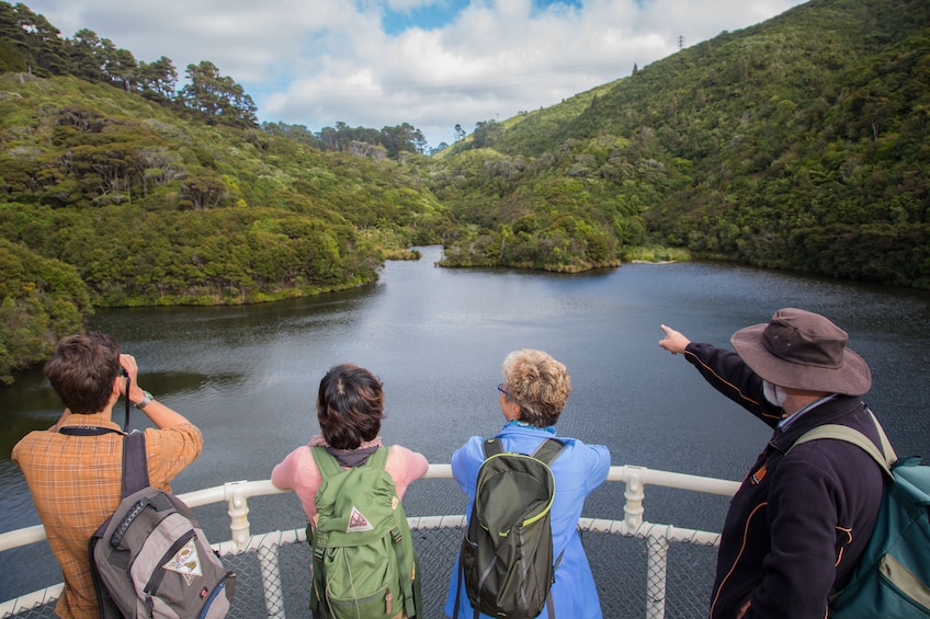 Zealandia Nature Sanctuary Daytime Walking Tour