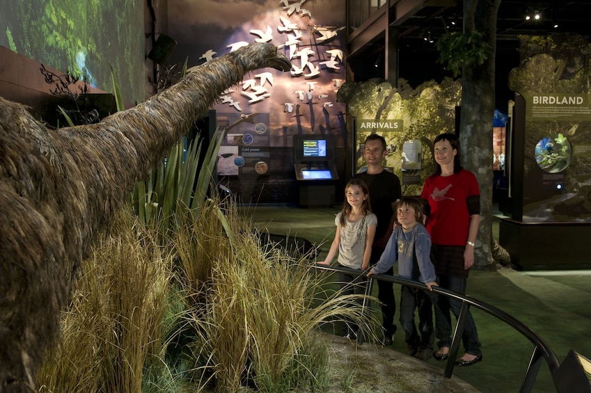 Zealandia Nature Sanctuary Daytime Walking Tour