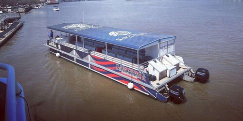 Savannah : Croisière écologique pour l'observation des dauphins et de la fa...